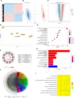 Construction of immunotherapy-related prognostic gene signature and small molecule drug prediction for cutaneous melanoma